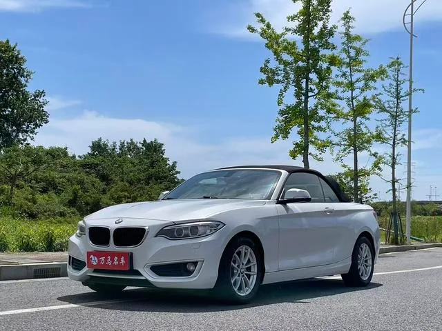 BMW 2 Series 2015 218i Convertible Coupe interior photo 11