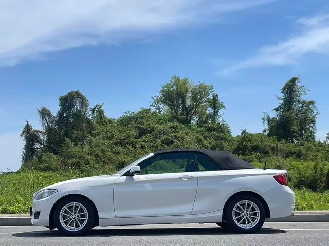 BMW 2 Series 2015 218i Convertible Coupe interior photo 16