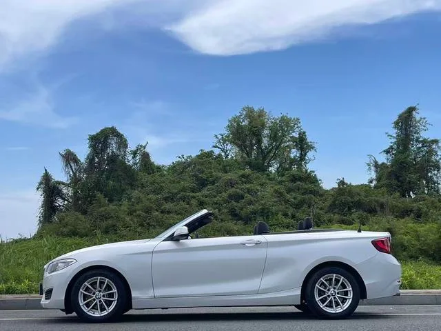 BMW 2 Series 2015 218i Convertible Coupe interior photo 17