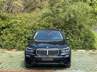 BMW X5 2020 xDrive40i M Sports suit exterior photo 2