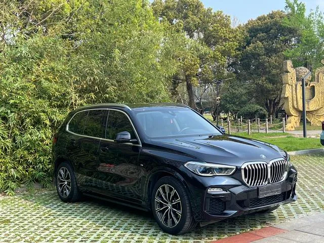BMW X5 2020 xDrive40i M Sports suit exterior photo 3