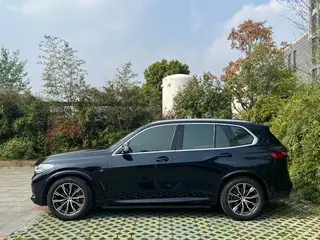 BMW X5 2020 xDrive40i M Sports suit exterior photo 4