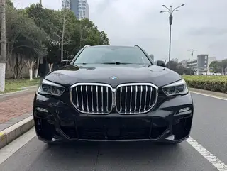 BMW X5 2019 xDrive40i Premium Class M Sports suit exterior photo 2