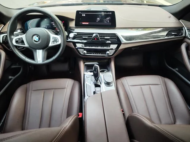 BMW 5 Series 2020 525Li M Conjunto deportivo exterior foto 7