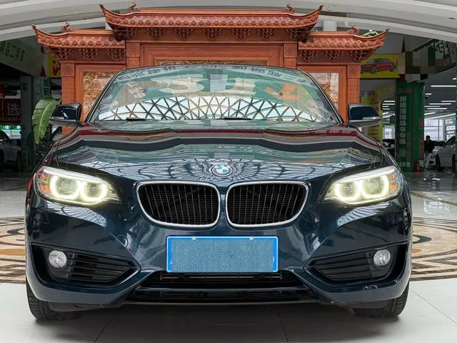 BMW 2 Series 2015 218i Convertible Coupe exterior photo 2