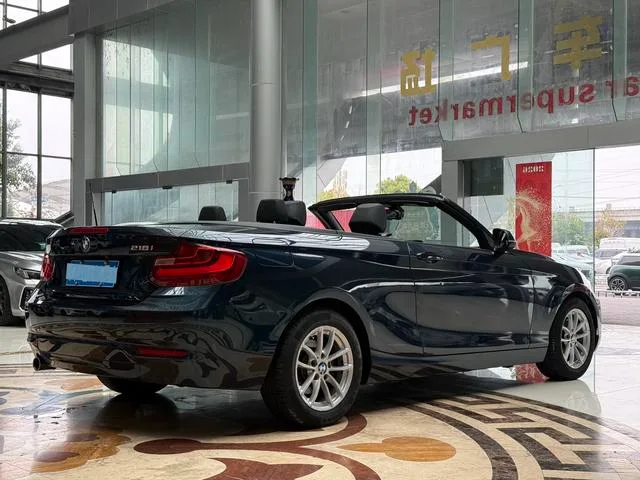 BMW 2 Series 2015 218i Convertible Coupe exterior photo 4