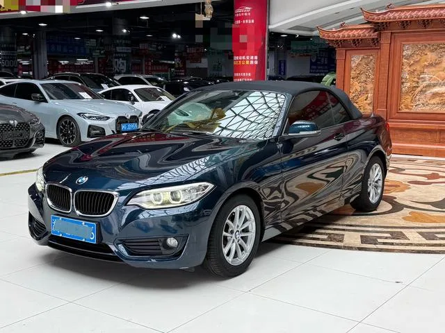 BMW 2 Series 2015 218i Convertible Coupe exterior photo 6