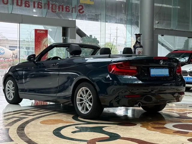 BMW 2 Series 2015 218i Convertible Coupe exterior photo 7