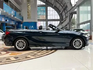 BMW 2 Series 2015 218i Convertible Coupe exterior photo 9