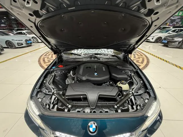 BMW 2 Series 2015 218i Convertible Coupe interior photo 13