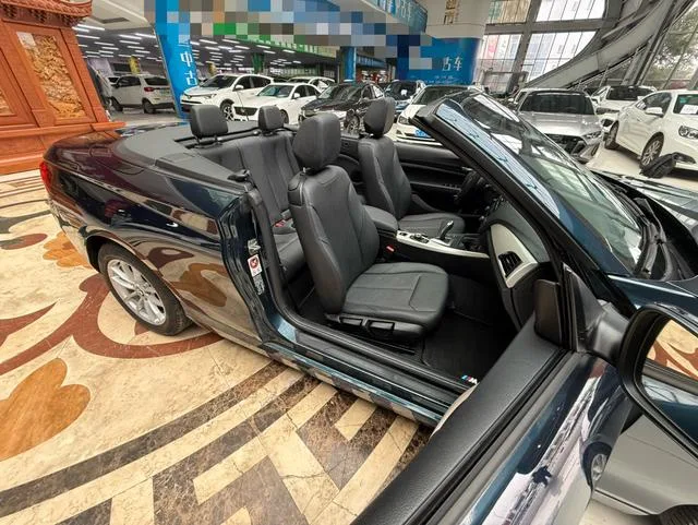 BMW 2 Series 2015 218i Convertible Coupe interior photo 19