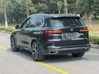 BMW X5 2019 xDrive40i Tipo de lujo M Conjunto deportivo interior foto 7