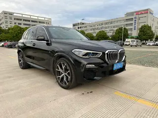 BMW X5 2019 xDrive40i Type de luxe M Ensemble de sport extérieur photo 3