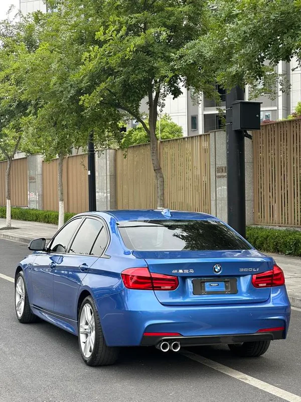 BMW 3 Series 2018 320Li Leader M Ensemble de sport extérieur photo 6