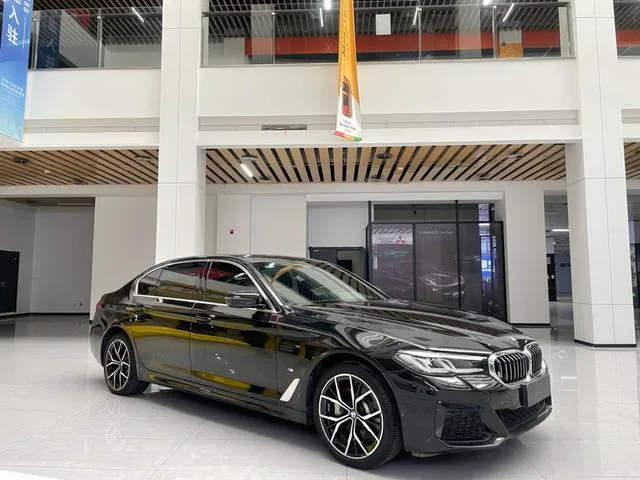 BMW 5 Series 2022 Вторичная модификация 530Li Премиум-класса M Спортивный костюм экстерьер фото 3