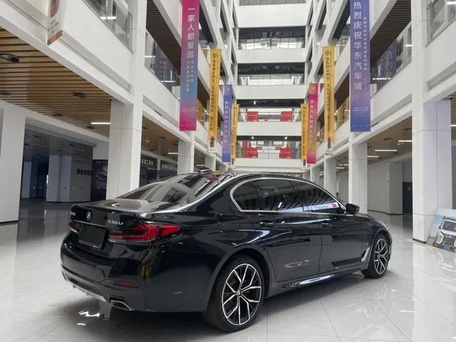 BMW 5 Series 2022 Вторичная модификация 530Li Премиум-класса M Спортивный костюм экстерьер фото 4