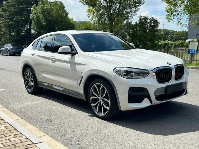 BMW X4 2020 xDrive25i Black Knight Edición limitada exterior foto 3