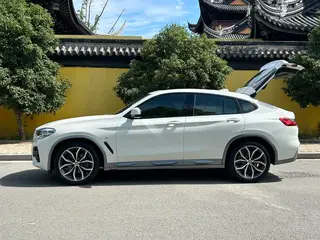 BMW X4 2020 xDrive25i Black Knight Edición limitada interior foto 10