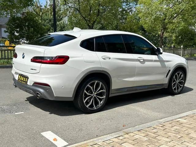 BMW X4 2020 xDrive25i Black Knight Edición limitada interior foto 15