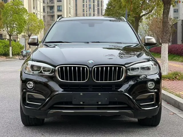 BMW X6 2017 xDrive35i Leading Type exterior photo 2