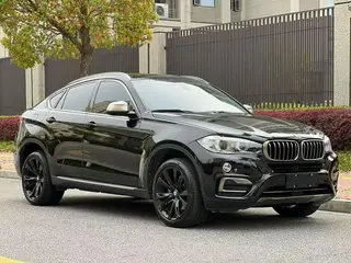 BMW X6 2017 xDrive35i Leading Type exterior photo 3