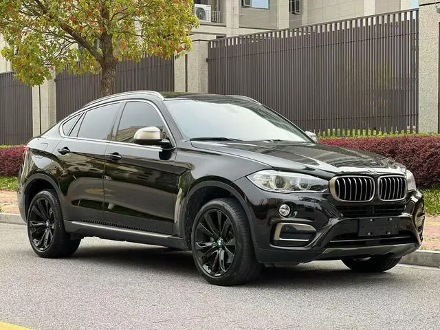BMW X6 2017 xDrive35i Leading Type exterior photo 3