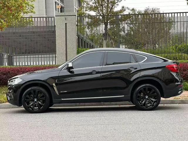 BMW X6 2017 xDrive35i Leading Type exterior photo 4