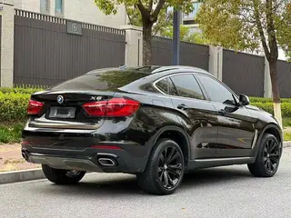 BMW X6 2017 xDrive35i Leading Type interior photo 6