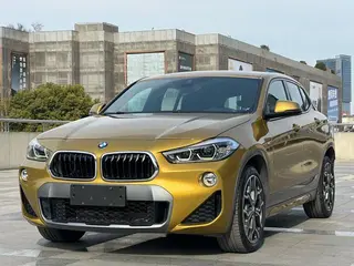 BMW X2 2019 sDrive25i Премиум-класса M Набор для бездорожья Страна VI