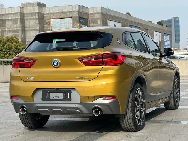 BMW X2 2019 sDrive25i Tipo de lujo M Traje todoterreno País VI exterior foto 6