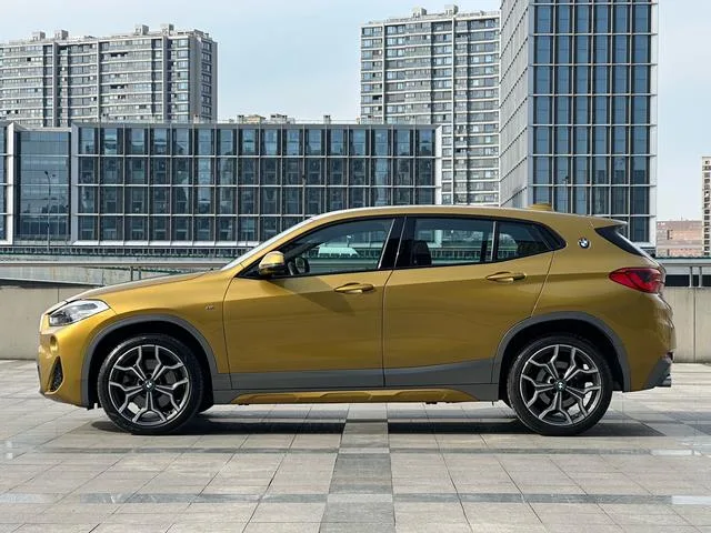 BMW X2 2019 sDrive25i Tipo de lujo M Traje todoterreno País VI exterior foto 7