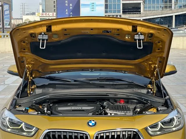 BMW X2 2019 sDrive25i Tipo de lujo M Traje todoterreno País VI interior foto 18