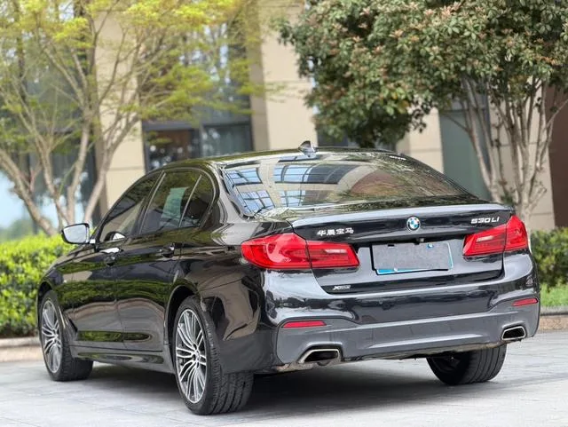BMW 5 Series 2019 530Li xDrive M Sports suit interior photo 9 BMW 5 Series 2019 530Li xDrive M Sports suit interior photo 9