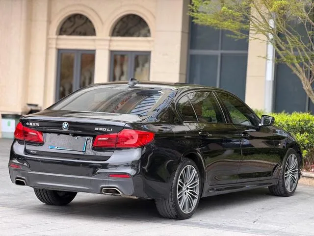 BMW 5 Series 2019 530Li xDrive M Sports suit interior photo 11 BMW 5 Series 2019 530Li xDrive M Sports suit interior photo 11