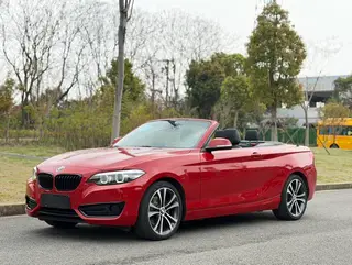 BMW 2 Series 2019 225i Convertible Coupe Sports Design Suit exterior photo 1