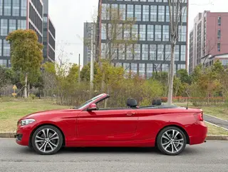 BMW 2 Series 2019 225i Convertible Coupe Sports Design Suit exterior photo 2