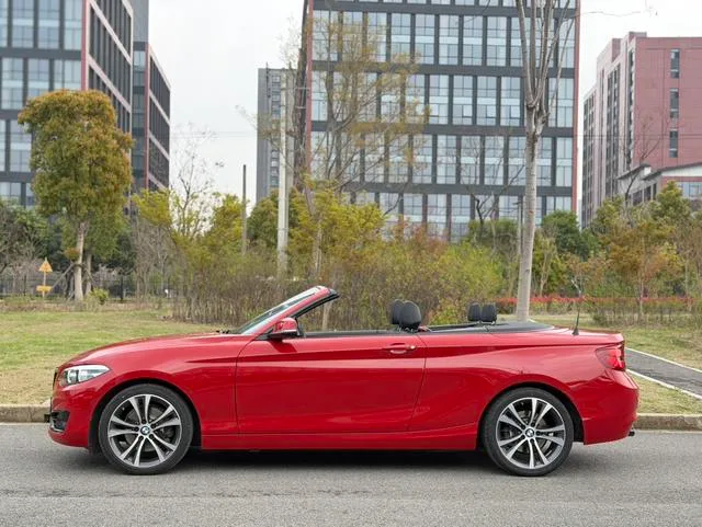 BMW 2 Series 2019 225i Convertible Coupe Sports Design Suit exterior photo 2
