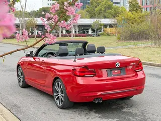 BMW 2 Series 2019 225i Convertible Coupe Sports Design Suit exterior photo 3