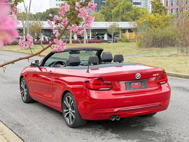 BMW 2 Series 2019 225i Convertible Coupe Sports Design Suit exterior photo 3