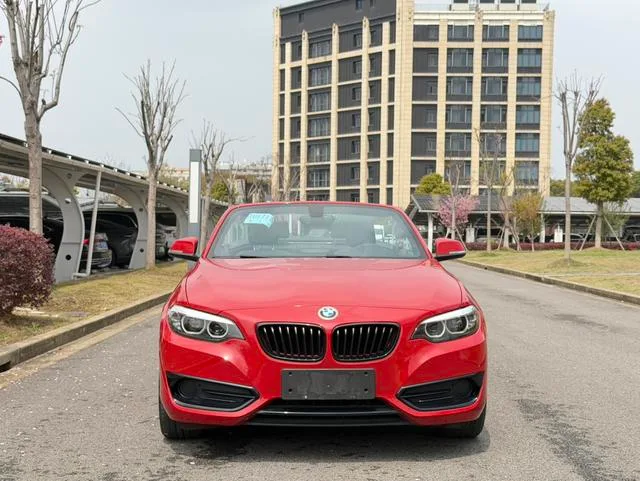 BMW 2 Series 2019 225i Convertible Coupe Sports Design Suit exterior photo 4