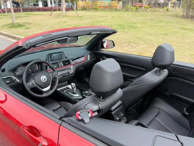 BMW 2 Series 2019 225i Convertible Coupe Sports Design Suit interior photo 10