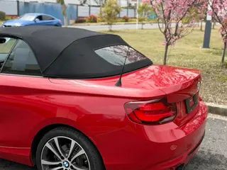 BMW 2 Series 2019 225i Convertible Coupe Sports Design Suit interior photo 14