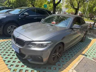 BMW 2 Series 2019 225i Type de luxe M Ensemble de sport