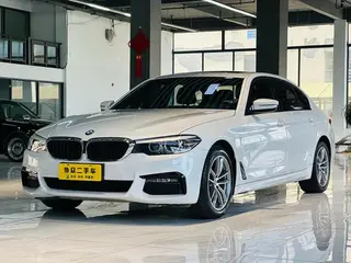 BMW 5 Series 2019 525Li M Спортивный костюм