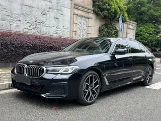 BMW 5 Series 2021 Restyling 530Li Premium Class M Sports suit