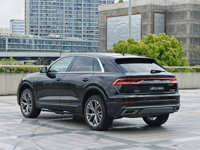 Audi Q8 2022 55 TFSI Deluxe Dynamic exterior photo 4