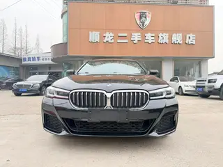 BMW 5 Series 2021 525Li M Conjunto deportivo exterior foto 2