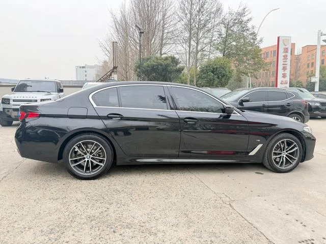 BMW 5 Series 2021 525Li M Conjunto deportivo exterior foto 5