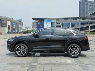 Audi Q8 2022 55 TFSI Deluxe Dynamic exterior photo 3
