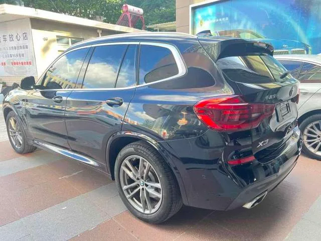 BMW X3 2019 xDrive30i Leading Type M Sports suit exterior photo 4